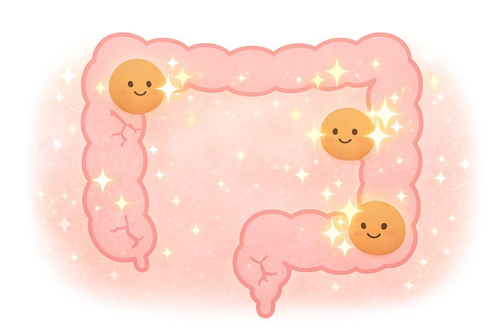 腸の修復イメージ