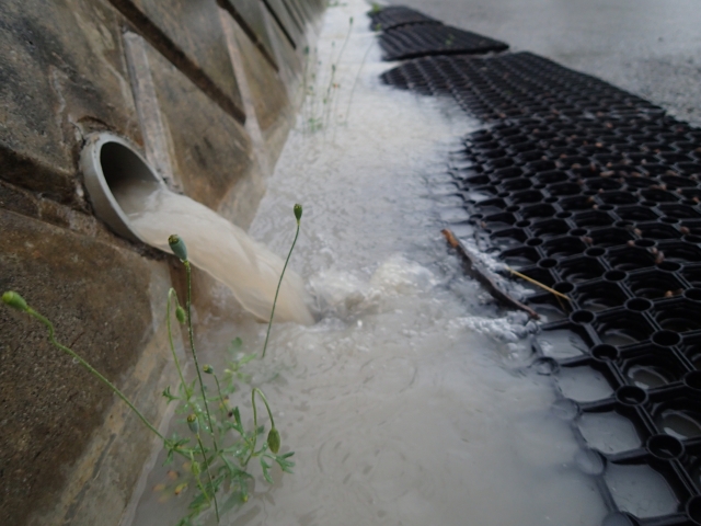 マイクロカプセルによる水質汚染